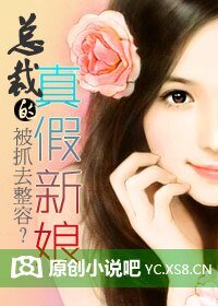 总裁的真假新蠕