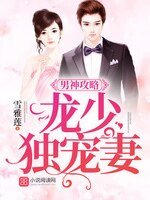 男神共略:龙少独宠妻