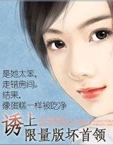 限量版坏首领:落难公主