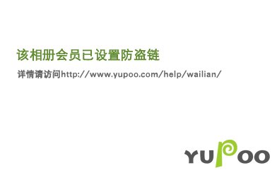特殊案件调查组Ⅴ