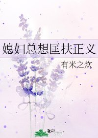 媳妇总想匡扶正义