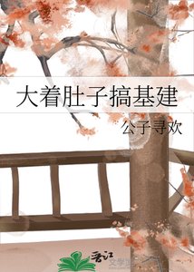 大着妒子搞基建